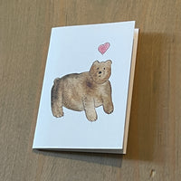 Brown Bear Love Enclosure Card