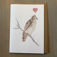 Red Tail Hawk Love Enclosure Card