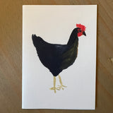 Black Star Chicken Enclosure Card