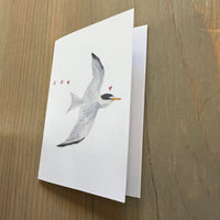 Least Tern Love Enclosure Card