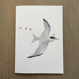 Least Tern Love Enclosure Card