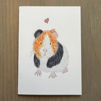 Calico Guinea Pig Love Enclosure Card