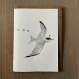 Least Tern Love Enclosure Card