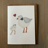 Piping Plover Love Enclosure Card