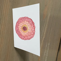 Sweet Pink Zinnia Enclosure Card