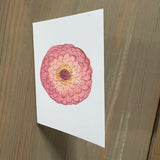 Sweet Pink Zinnia Enclosure Card