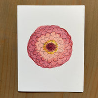 Sweet Pink Zinnia Blank Card