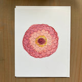 Sweet Pink Zinnia Blank Card
