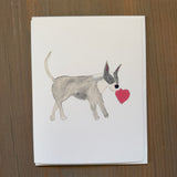 Jane the Pit Bull - Blank Card