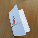 Red-breasted Nuthatch - Enclosure Card