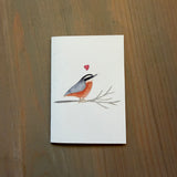 Red-breasted Nuthatch - Enclosure Card