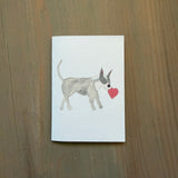 Jane the Pit Bull - Enclosure Card