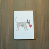 Jane the Pit Bull - Enclosure Card