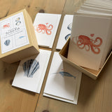 Ocean Creatures Little Notecard Set