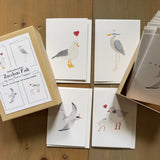 Shore Birds Little Notecard Set