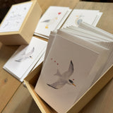 Shore Birds Little Notecard Set