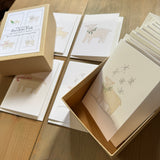 Christmas Lambs Notecard Set