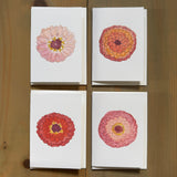 Zinnia Little Notecard Set