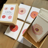 Zinnia Little Notecard Set