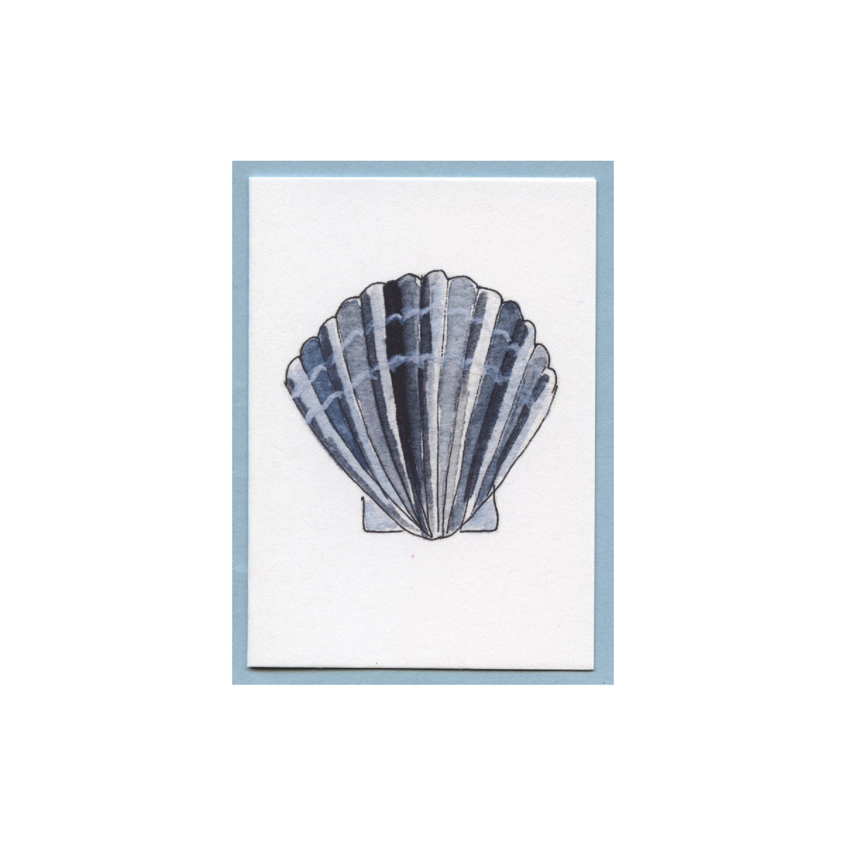 Scallop Shell Enclosure Card – Zucchini Fish