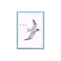 Least Tern Love Enclosure Card