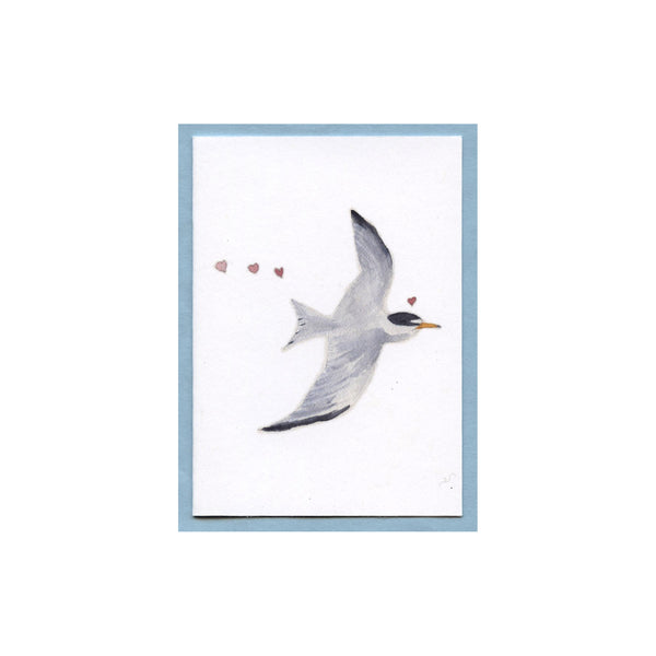 Least Tern Love Enclosure Card