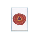 Spicy Orange Zinnia Enclosure Card