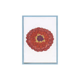Spicy Orange Zinnia Enclosure Card