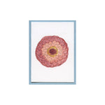 Sweet Pink Zinnia Enclosure Card