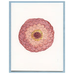 Sweet Pink Zinnia Blank Card