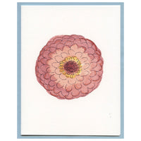 Sweet Pink Zinnia Blank Card