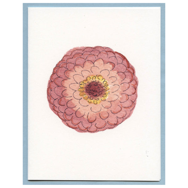 Sweet Pink Zinnia Blank Card