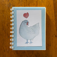 Araucana Chicken Journal