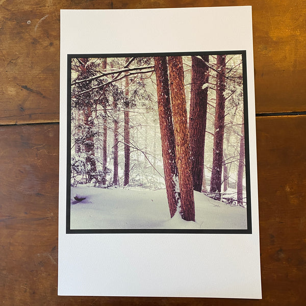 Snowy Pines - Athol, MA